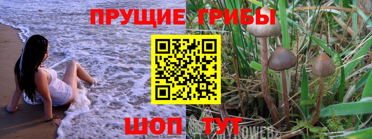 Галлюциногенные грибы GOLDEN TEACHER Россия
