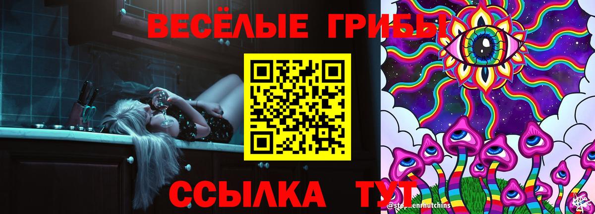 Псилоцибиновые грибы Psilocybe  Вход с VPN  Россия  Псилоцибиновые грибы Magic Shrooms 